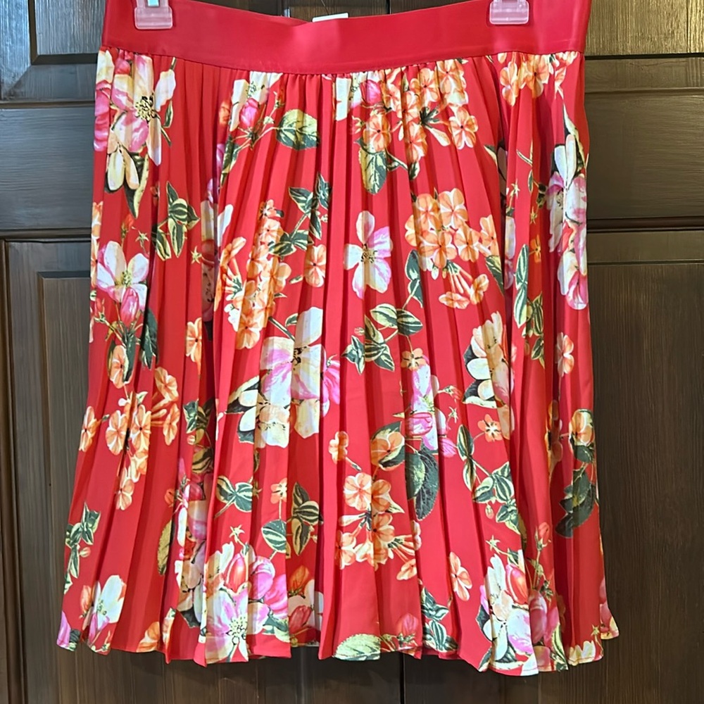 Express skirt